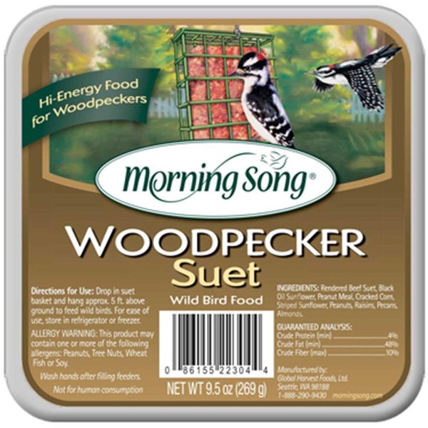 Morning Song Morning Song 11462 12-9.5 oz Woodpecker Suet Wild Bird Food 11462